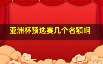 亚洲杯预选赛几个名额啊