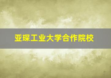 亚琛工业大学合作院校