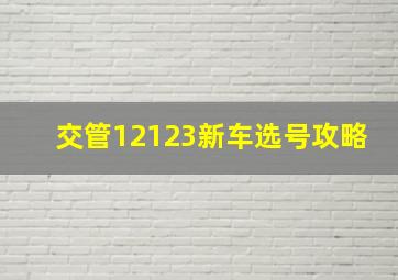 交管12123新车选号攻略