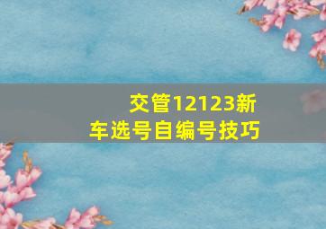 交管12123新车选号自编号技巧