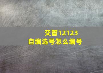 交管12123自编选号怎么编号