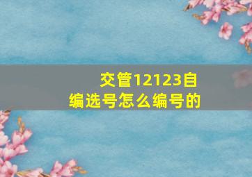 交管12123自编选号怎么编号的