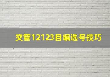 交管12123自编选号技巧