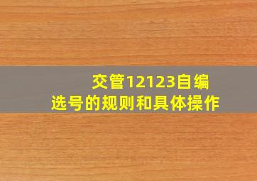 交管12123自编选号的规则和具体操作