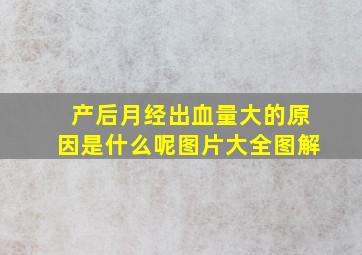 产后月经出血量大的原因是什么呢图片大全图解