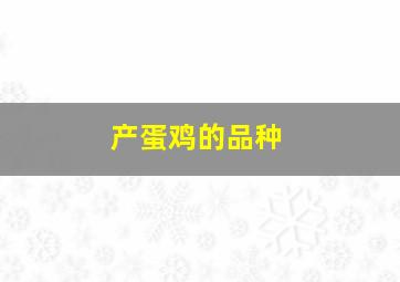 产蛋鸡的品种