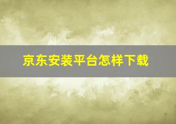 京东安装平台怎样下载