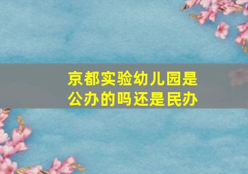 京都实验幼儿园是公办的吗还是民办