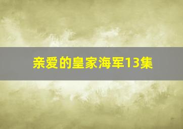 亲爱的皇家海军13集