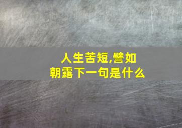 人生苦短,譬如朝露下一句是什么