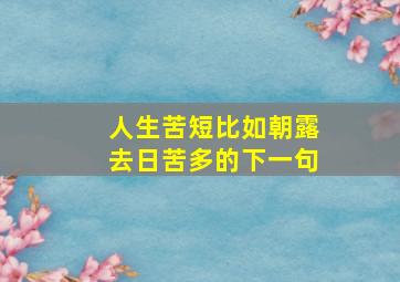 人生苦短比如朝露去日苦多的下一句