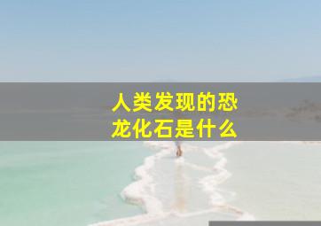 人类发现的恐龙化石是什么