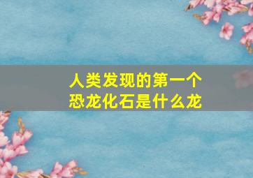 人类发现的第一个恐龙化石是什么龙