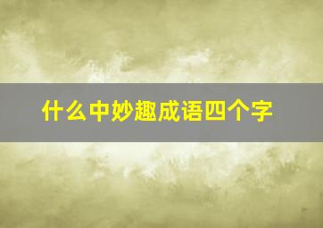 什么中妙趣成语四个字