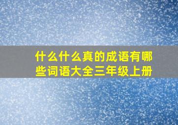 什么什么真的成语有哪些词语大全三年级上册