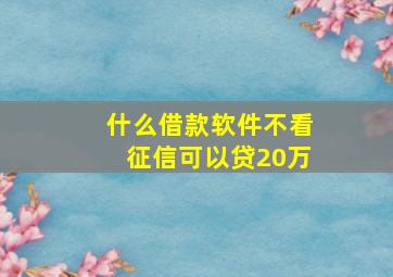 什么借款软件不看征信可以贷20万