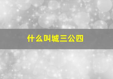 什么叫城三公四