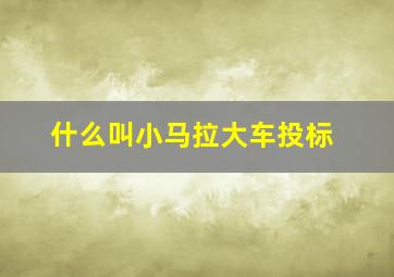 什么叫小马拉大车投标