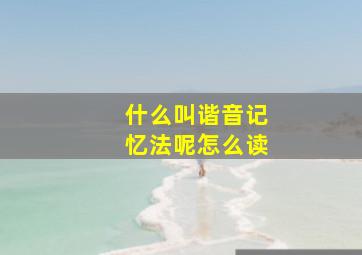 什么叫谐音记忆法呢怎么读