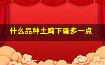 什么品种土鸡下蛋多一点