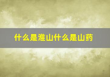 什么是淮山什么是山药