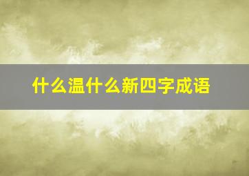 什么温什么新四字成语