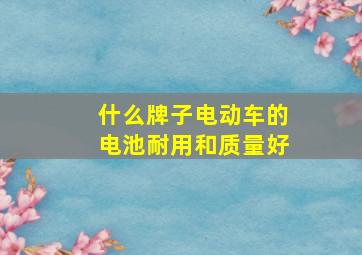 什么牌子电动车的电池耐用和质量好