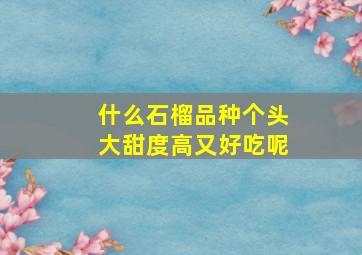 什么石榴品种个头大甜度高又好吃呢