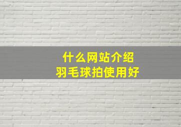 什么网站介绍羽毛球拍使用好