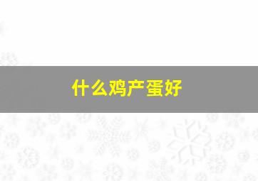 什么鸡产蛋好