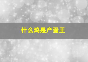 什么鸡是产蛋王