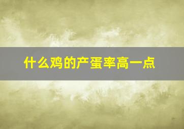 什么鸡的产蛋率高一点