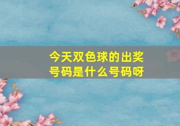 今天双色球的出奖号码是什么号码呀