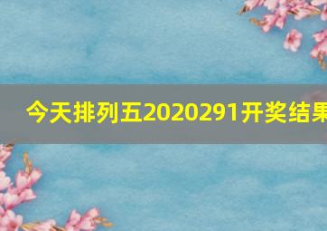 今天排列五2020291开奖结果