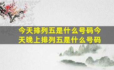 今天排列五是什么号码今天晚上排列五是什么号码