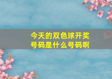 今天的双色球开奖号码是什么号码啊