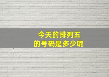 今天的排列五的号码是多少呢