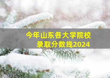 今年山东各大学院校录取分数线2024