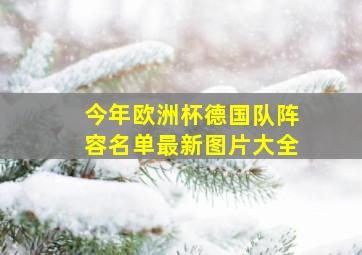 今年欧洲杯德国队阵容名单最新图片大全