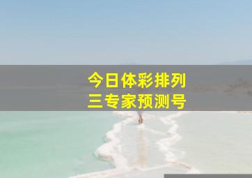 今日体彩排列三专家预测号