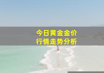 今日黄金金价行情走势分析