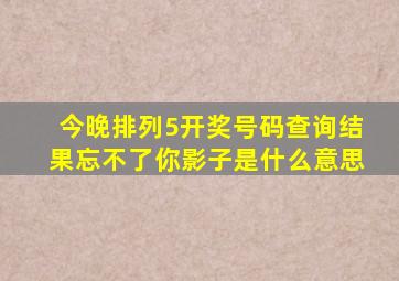 今晚排列5开奖号码查询结果忘不了你影子是什么意思