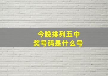 今晚排列五中奖号码是什么号