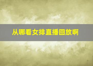 从哪看女排直播回放啊