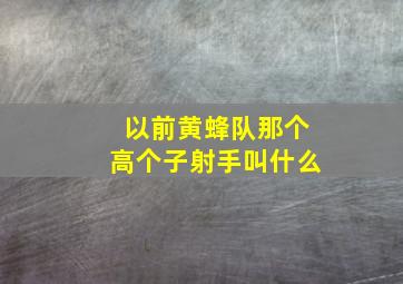 以前黄蜂队那个高个子射手叫什么