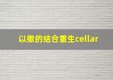 以撒的结合重生cellar