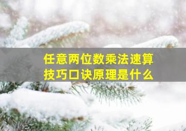 任意两位数乘法速算技巧口诀原理是什么