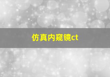 仿真内窥镜ct