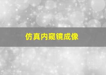 仿真内窥镜成像