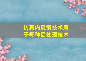 仿真内窥镜技术属于哪种后处理技术